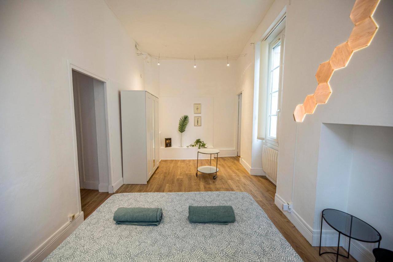 Coeur De Ville, Magnifique + Parking Apartment Pau